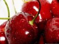 A cseresznye csökkentheti a köszvényes rohamok kockázatát