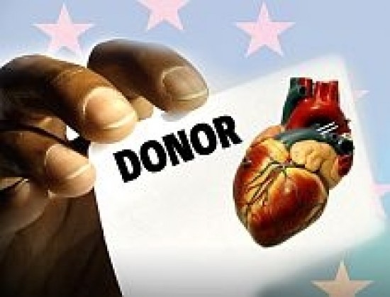 Élő donor