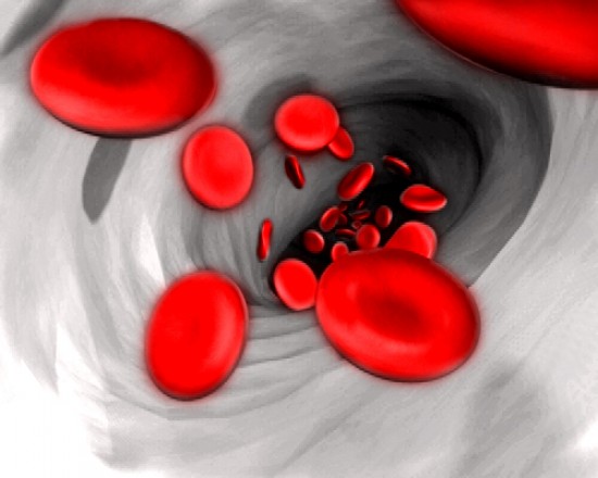 Vérlemezke - thrombocyta