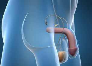 A prosztatitis és az urethritis jelei Bazsalikom prosztatitis
