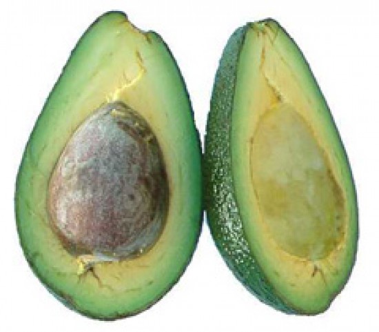 Avokado