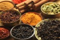 Indiai konyha: ősi titkok és mai ellentmondások