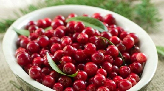 Joghurt és vörös áfonyalé a jó vérnyomásért