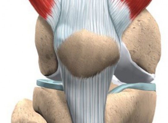 Szenzációs felfedezést tettek belga térdsebészek