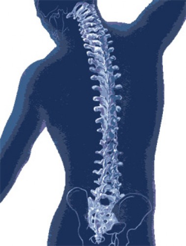 rajz fájdalom a gerincben a mellkasban a térdet érintő osteoarthritis