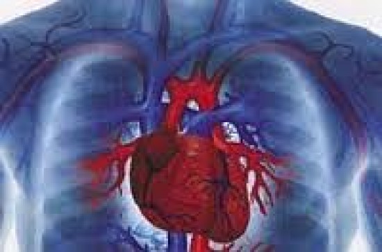 szív egészségügyi angina
