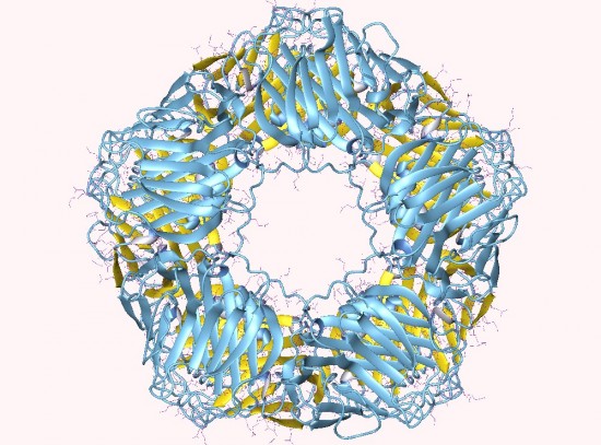 CRP - C-reaktív protein