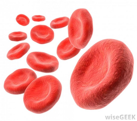 Hemoglobin