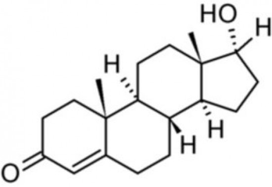 Tesztoszteron