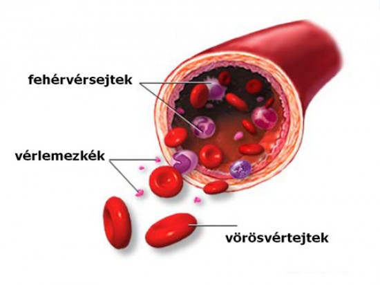 WBC - White Blood Cell , FVS