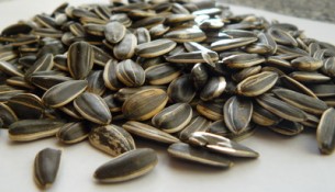  Rendszeres szotyizás: egyenes út a hízáshoz