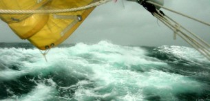 A tengeribetegségől pénzt lehet csinálni?