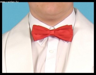 A tiszteletbeli konzulok