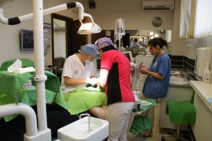 A vadkendertől az altatásig