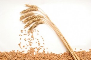 Amikor mindentől fáj a hasad - a coeliakia