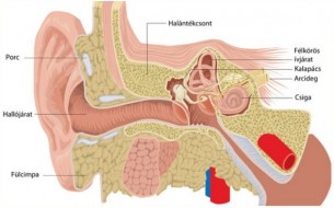 Hasznos praktikák a fülkürt gyulladás ellen