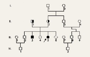 Ilyen a recesszív és a domináns öröklésmenet