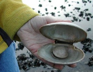 Vágy az örök élet után